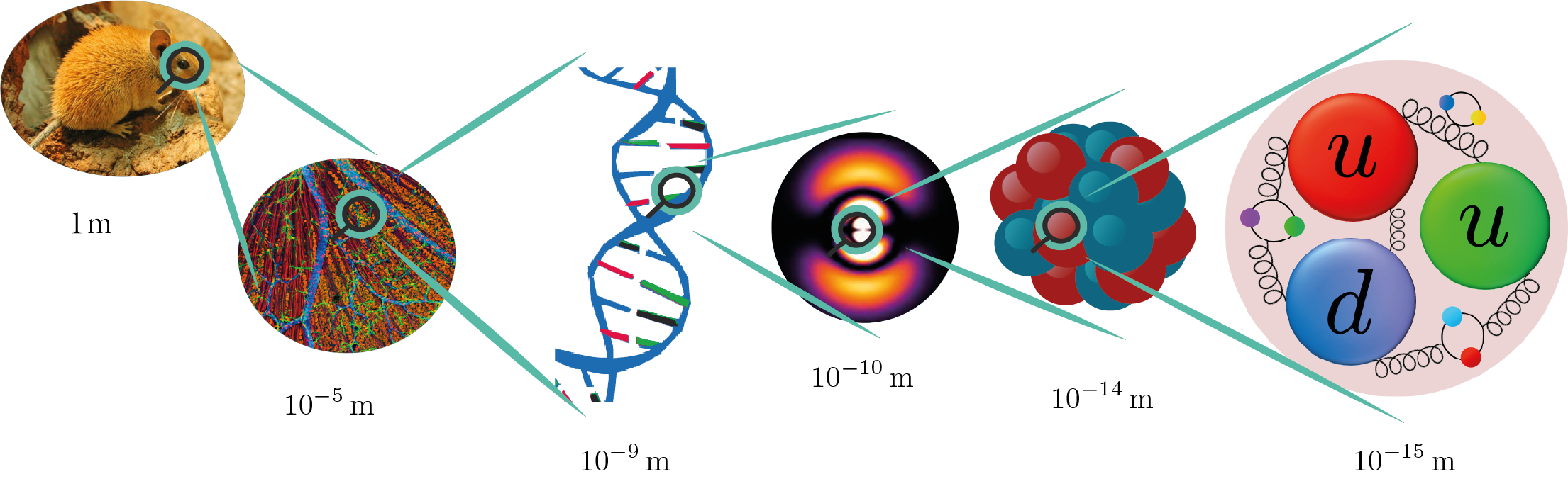 Escales Nuclears