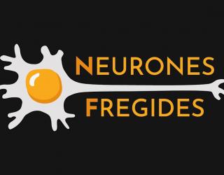 Logo Neurones Fregides
