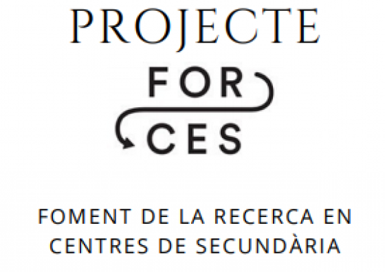 Projecte FORCES