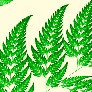 Fractal de la falguera de Barnsley, cortesia de Raimon Luna