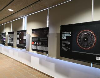 Univers Fosc_COU2018_1