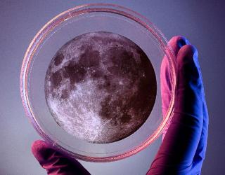 Nit de la recerca al Cosmocaixa