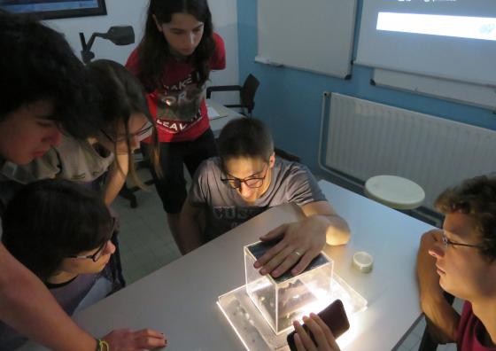 Un grup d'alumnes realitzant experiments de física 