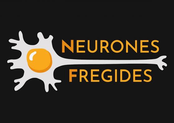 Logo Neurones Fregides